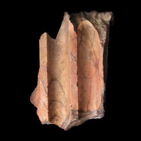 Die Farben der Antike. Santarelli-Marmorskulpturen in den Kapitolinischen Museen