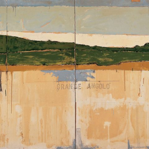 Mario Schifano. Malerei, bild und mediale moderne